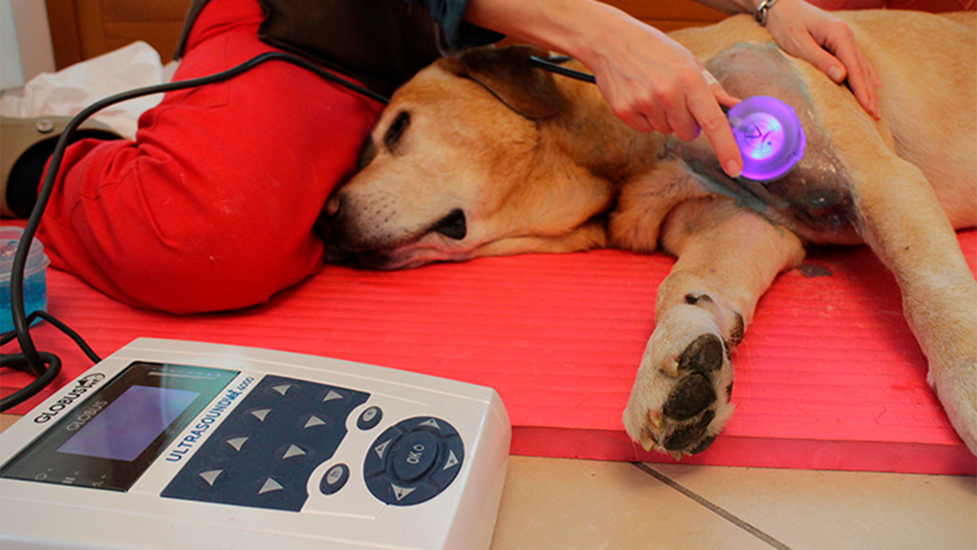 ultrasomterapia-img